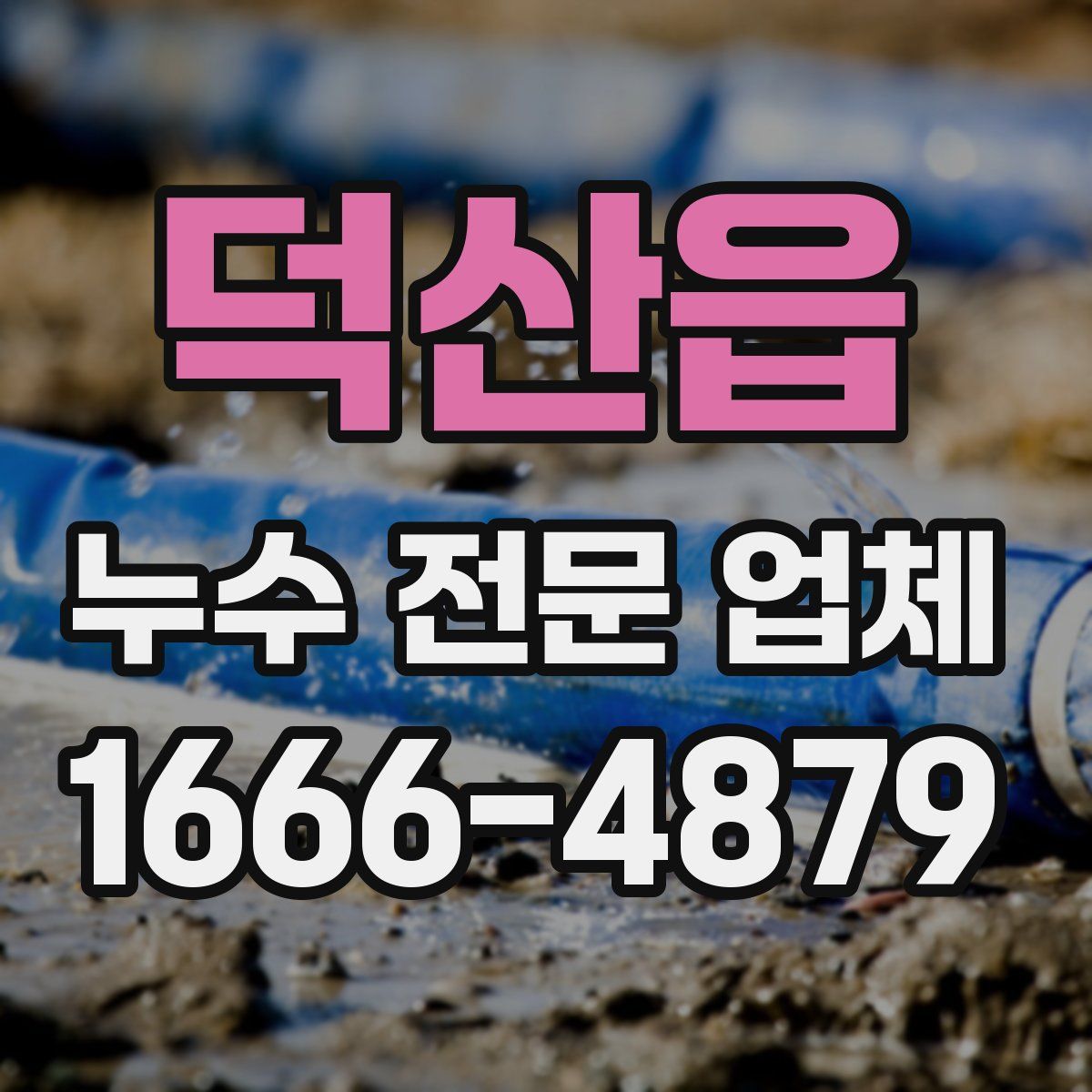 덕산읍 누수 전문 업체