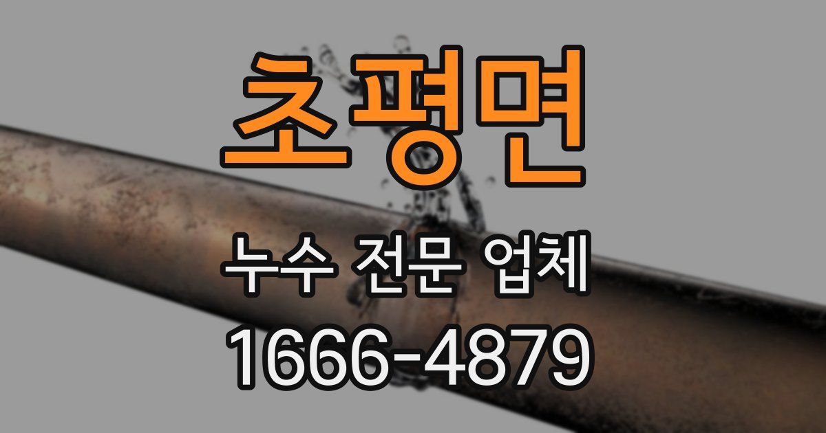 초평면 누수 전문 업체