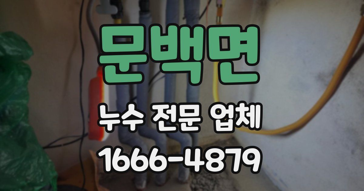 문백면 누수 전문 업체