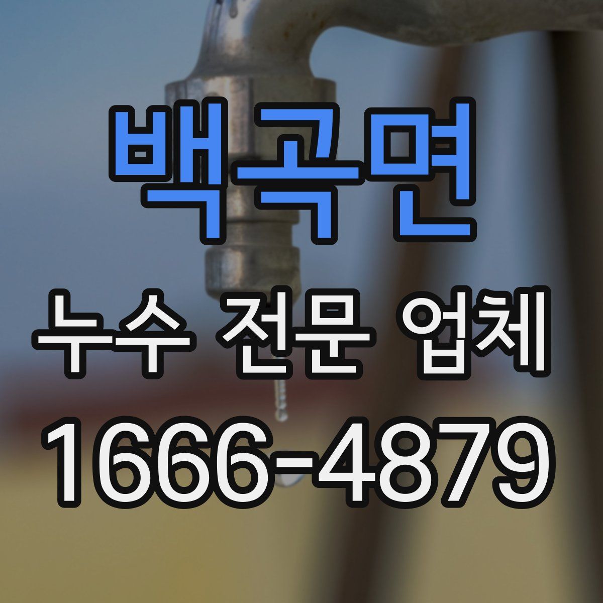 백곡면 누수 전문 업체