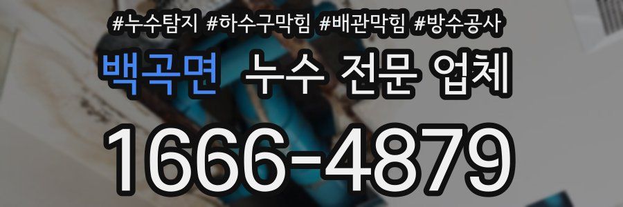 백곡면 누수 전문 업체