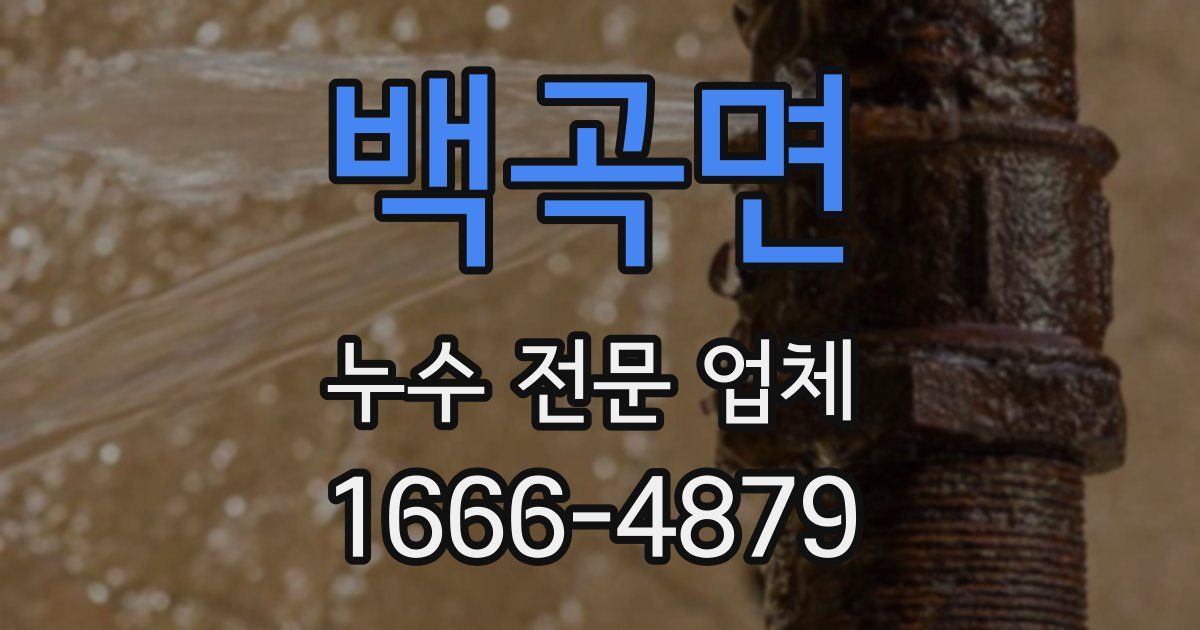 백곡면 누수 전문 업체