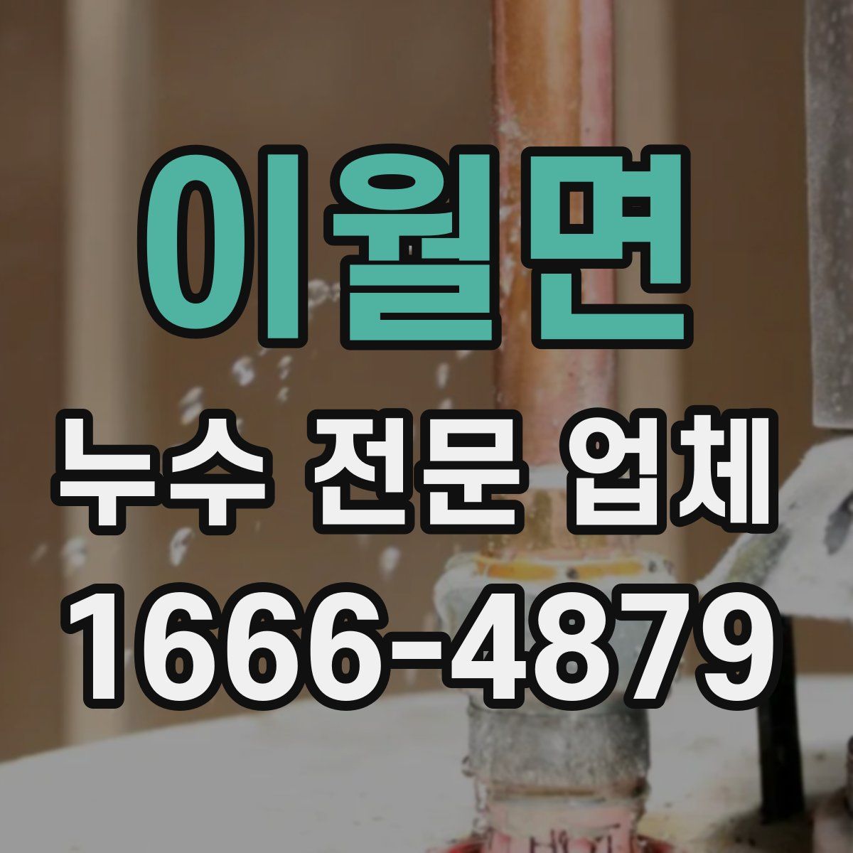 이월면 누수 전문 업체