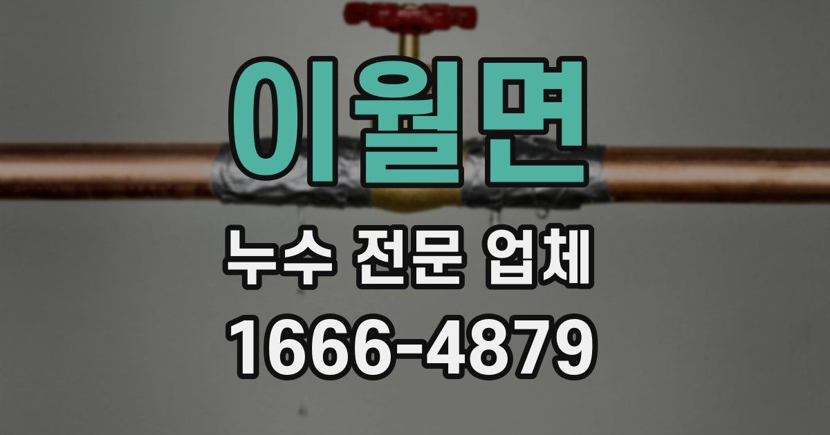 이월면 누수 전문 업체