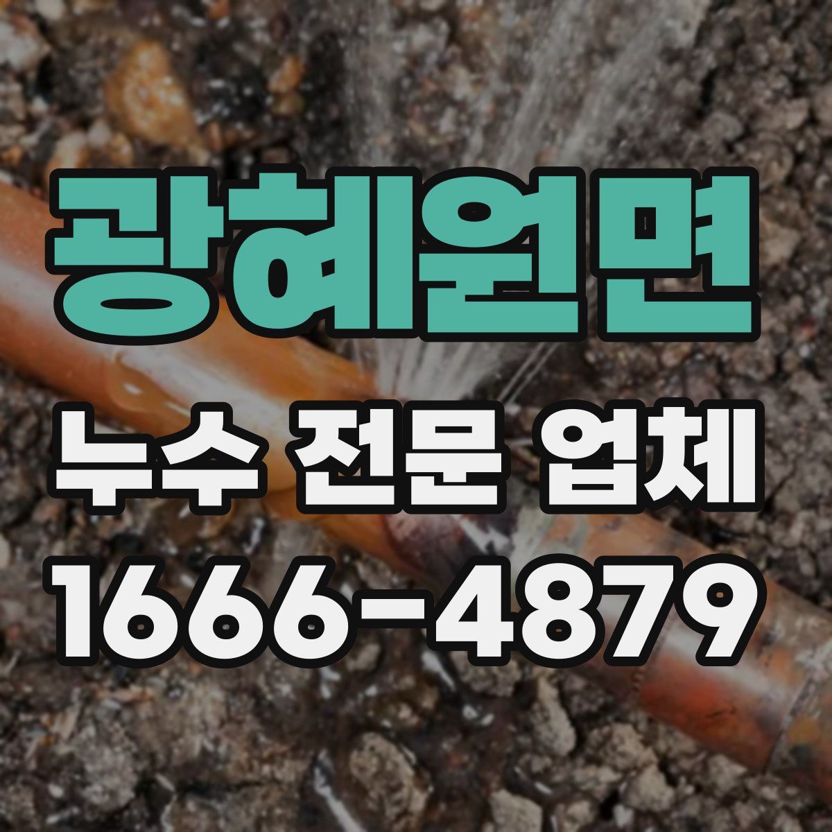 광혜원면 누수 전문 업체