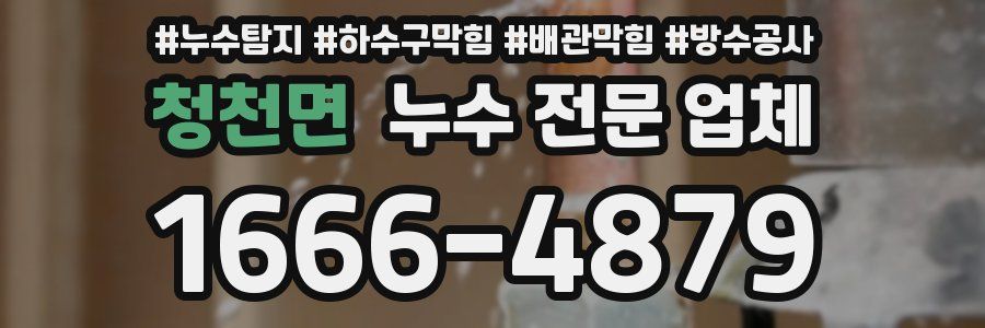 청천면 누수 전문 업체
