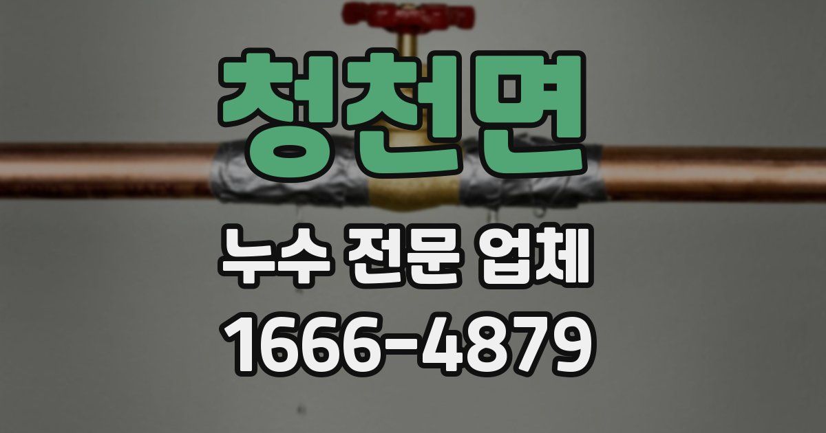 청천면 누수 전문 업체