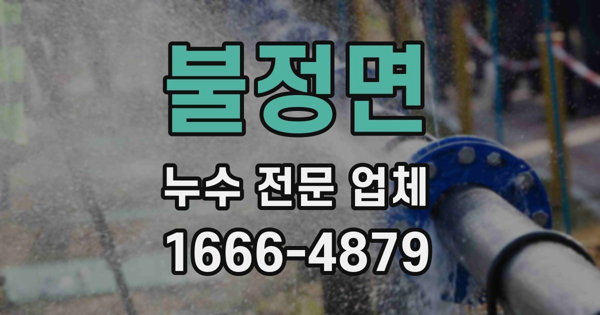 불정면 누수 전문 업체