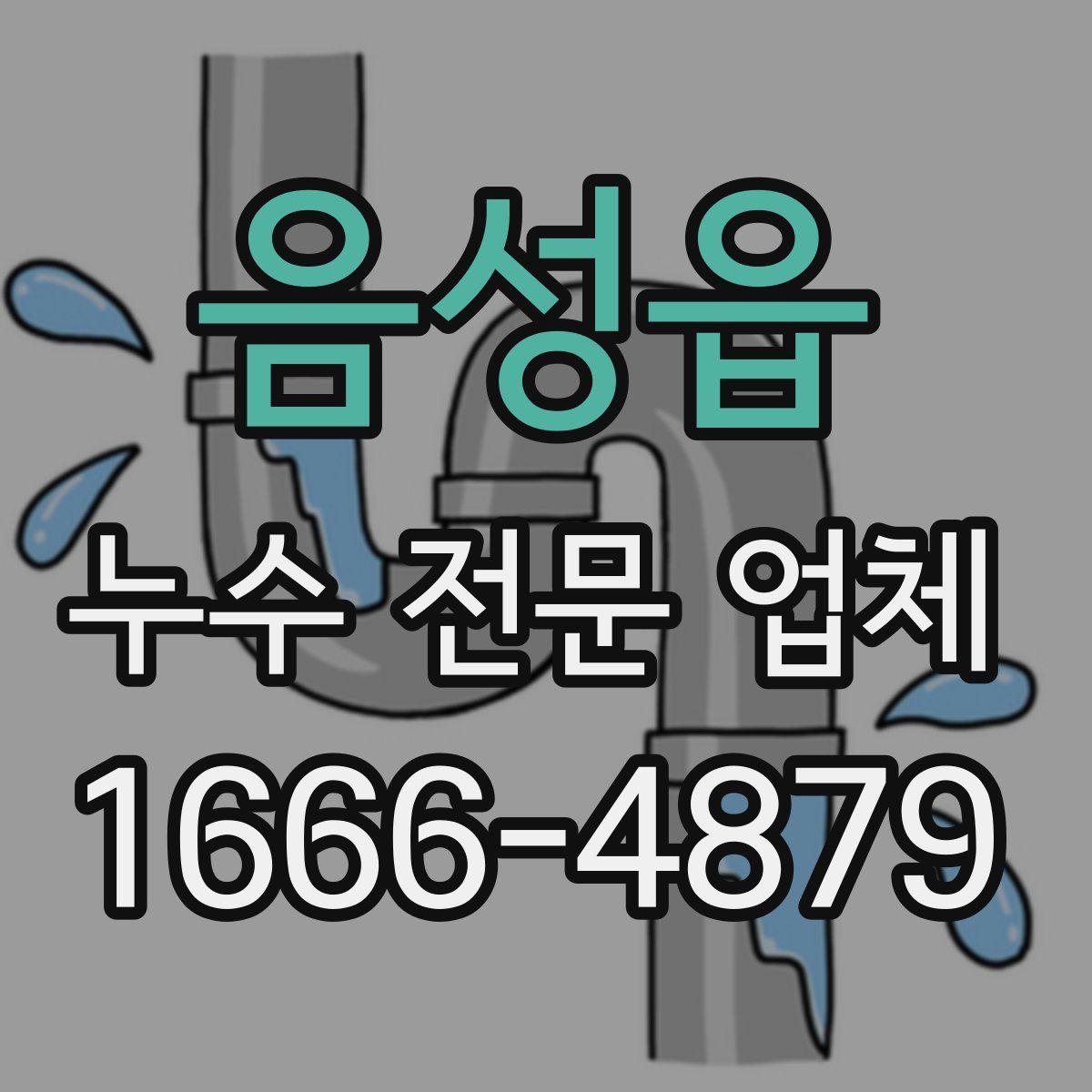 음성읍 누수 전문 업체