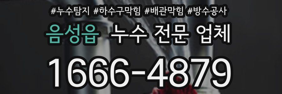 음성읍 누수 전문 업체