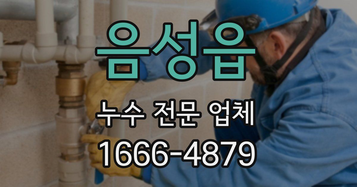 음성읍 누수 전문 업체