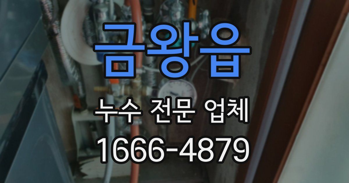 금왕읍 누수 전문 업체