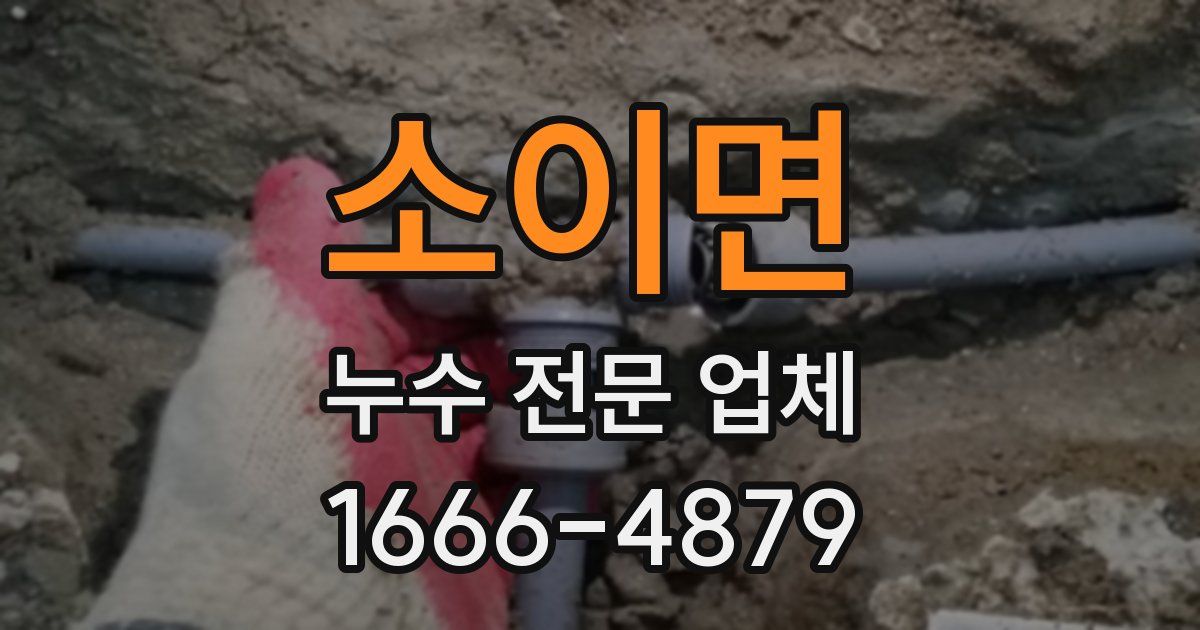 소이면 누수 전문 업체