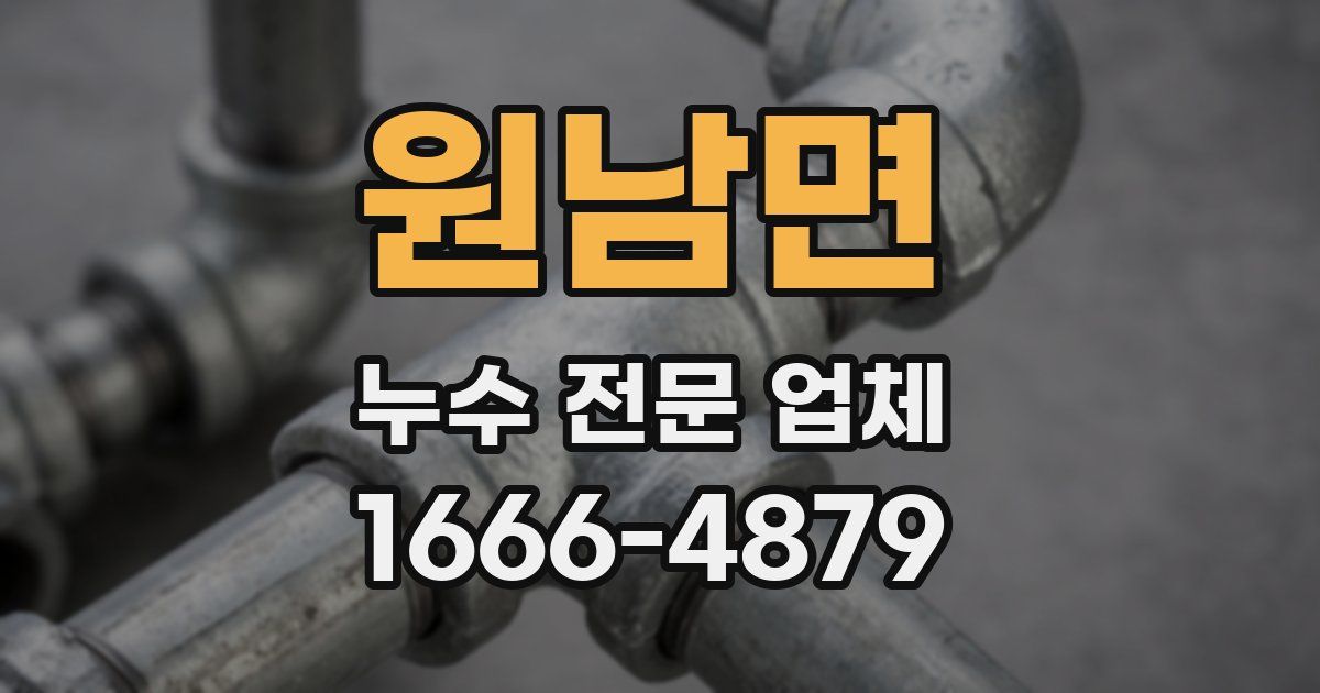 원남면 누수 전문 업체