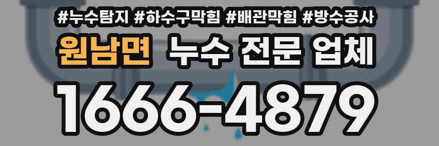 원남면 누수 전문 업체