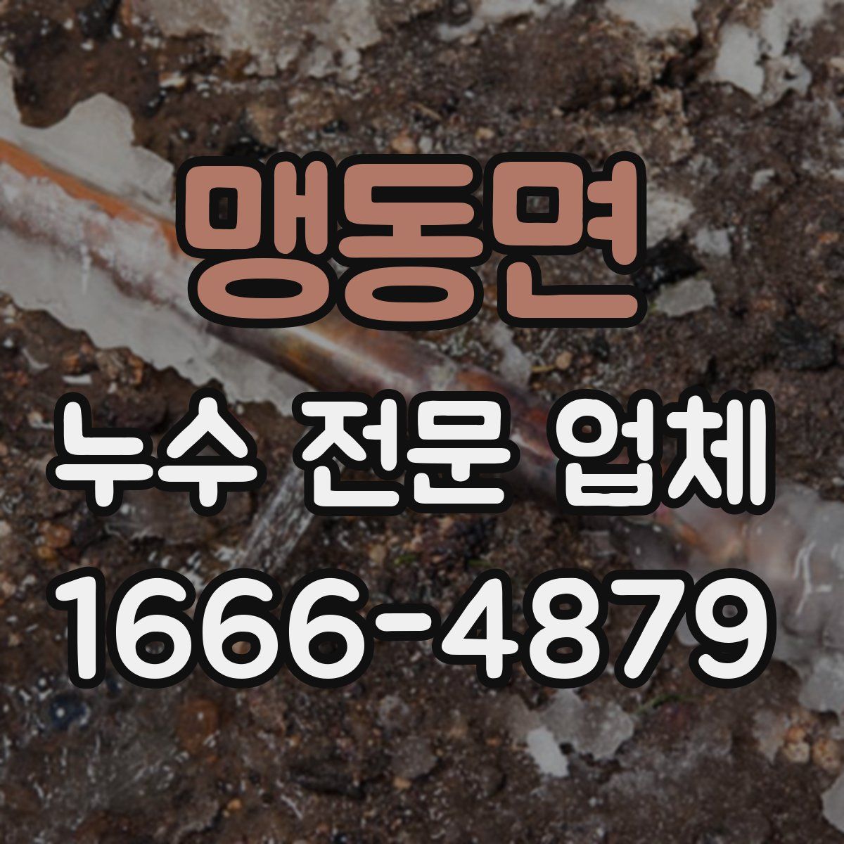 맹동면 누수 전문 업체