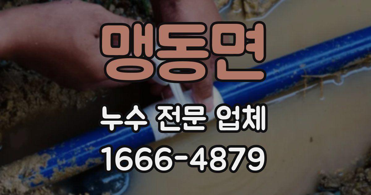 맹동면 누수 전문 업체