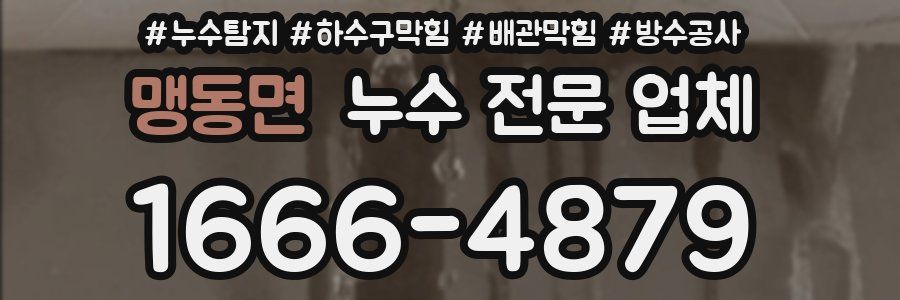 맹동면 누수 전문 업체