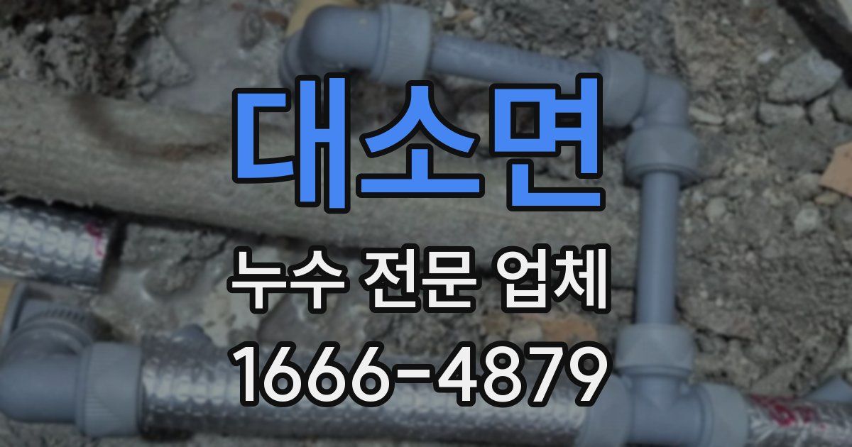 대소면 누수 전문 업체