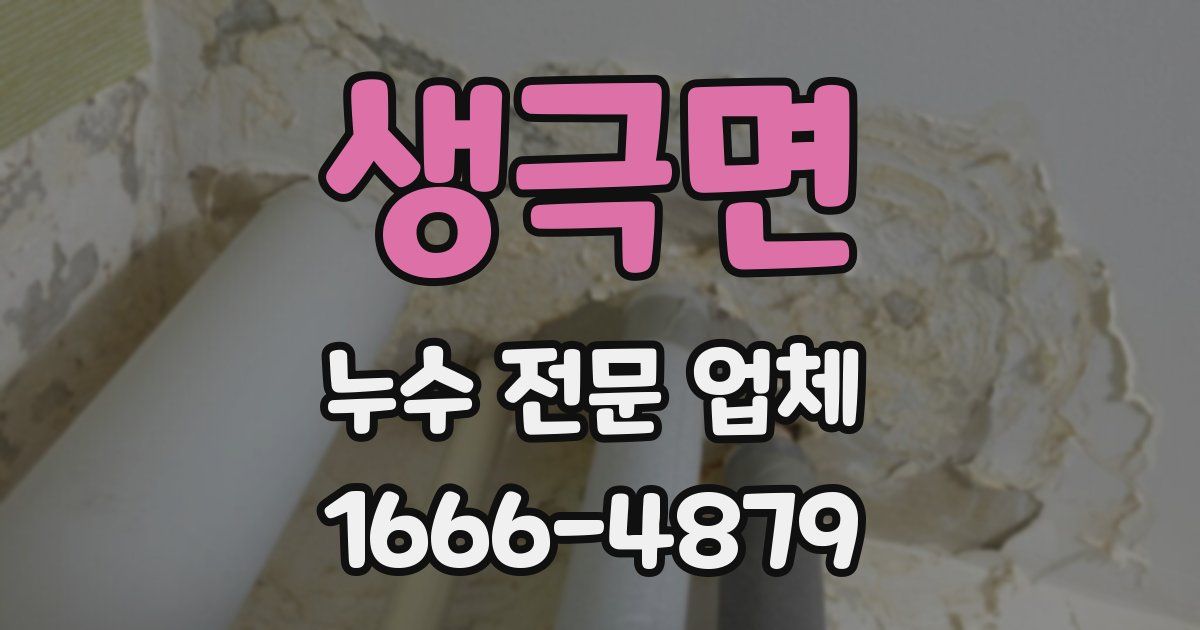 생극면 누수 전문 업체