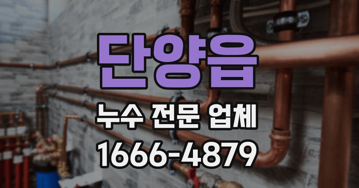 단양읍 누수 전문 업체