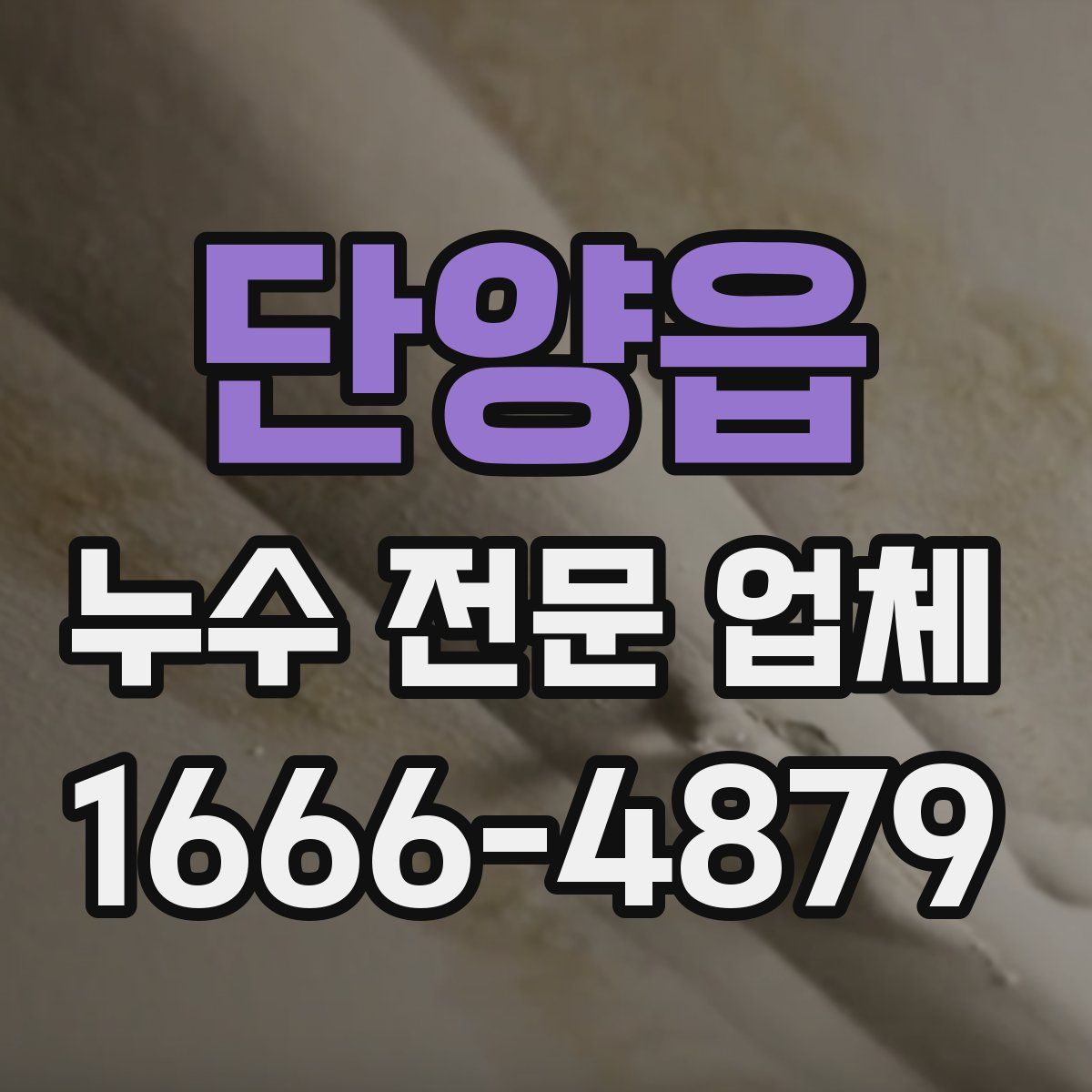 단양읍 누수 전문 업체