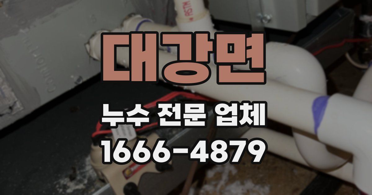 대강면 누수 전문 업체