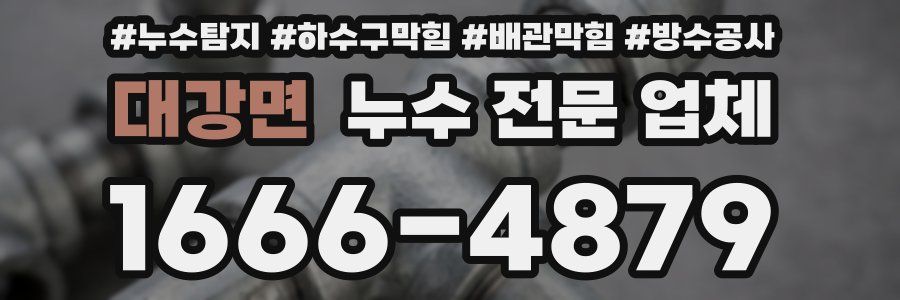 대강면 누수 전문 업체