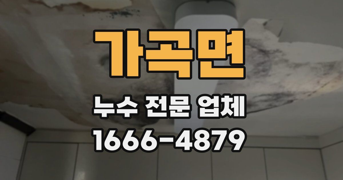 가곡면 누수 전문 업체