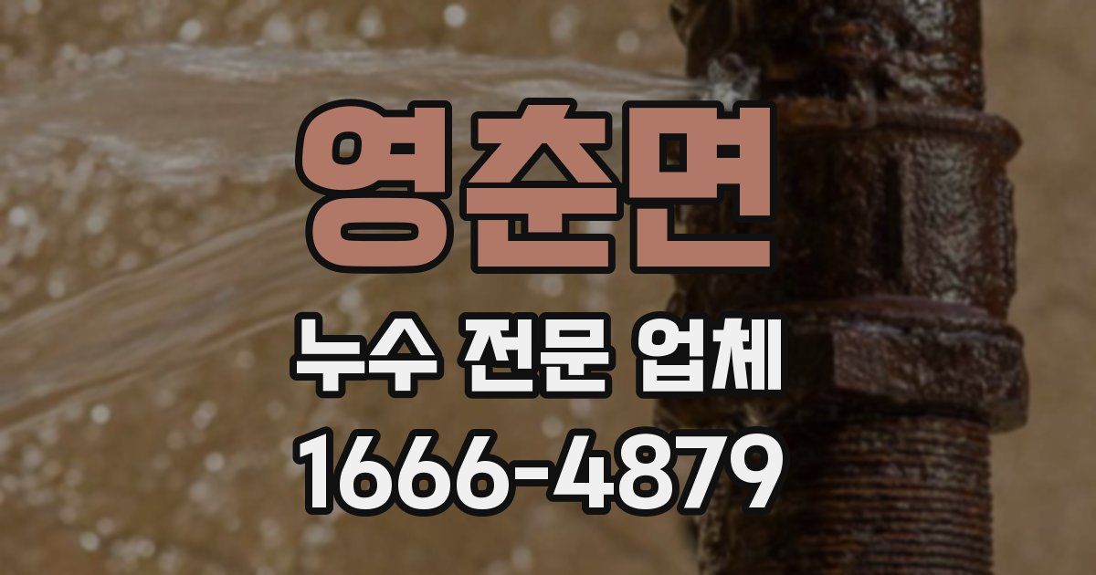 영춘면 누수 전문 업체