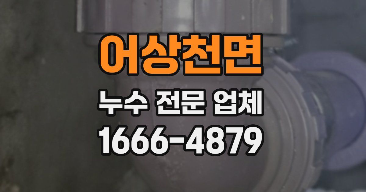 어상천면 누수 전문 업체