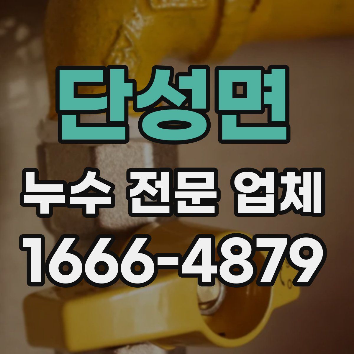 단성면 누수 전문 업체