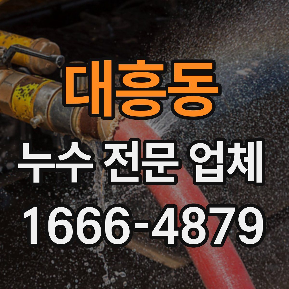 대흥동 누수 전문 업체