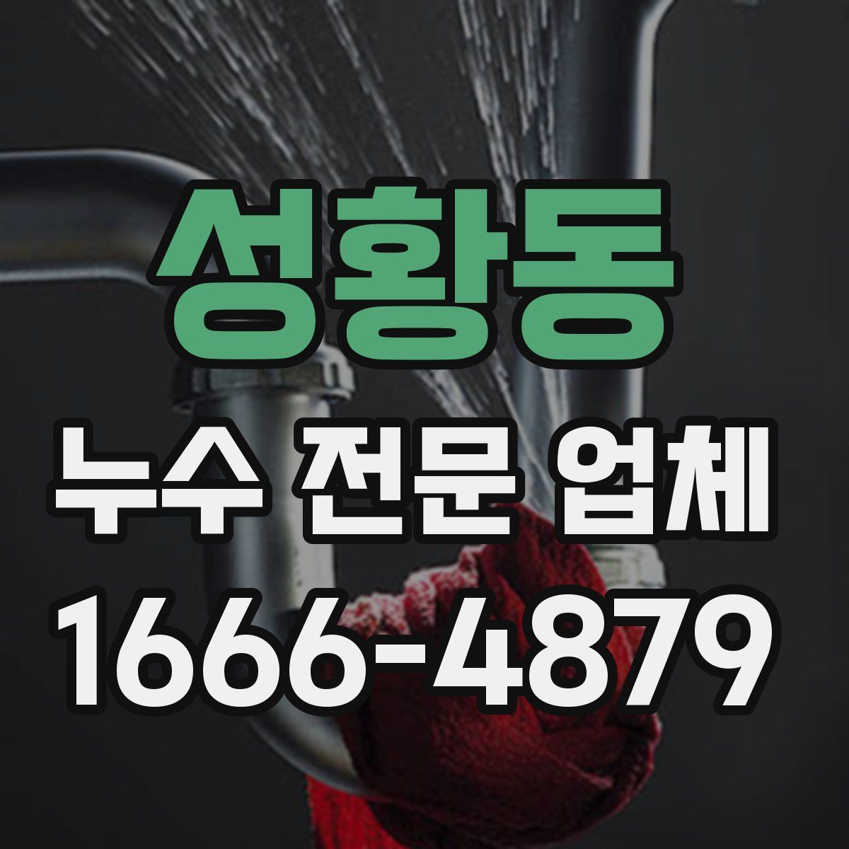 성황동 누수 전문 업체