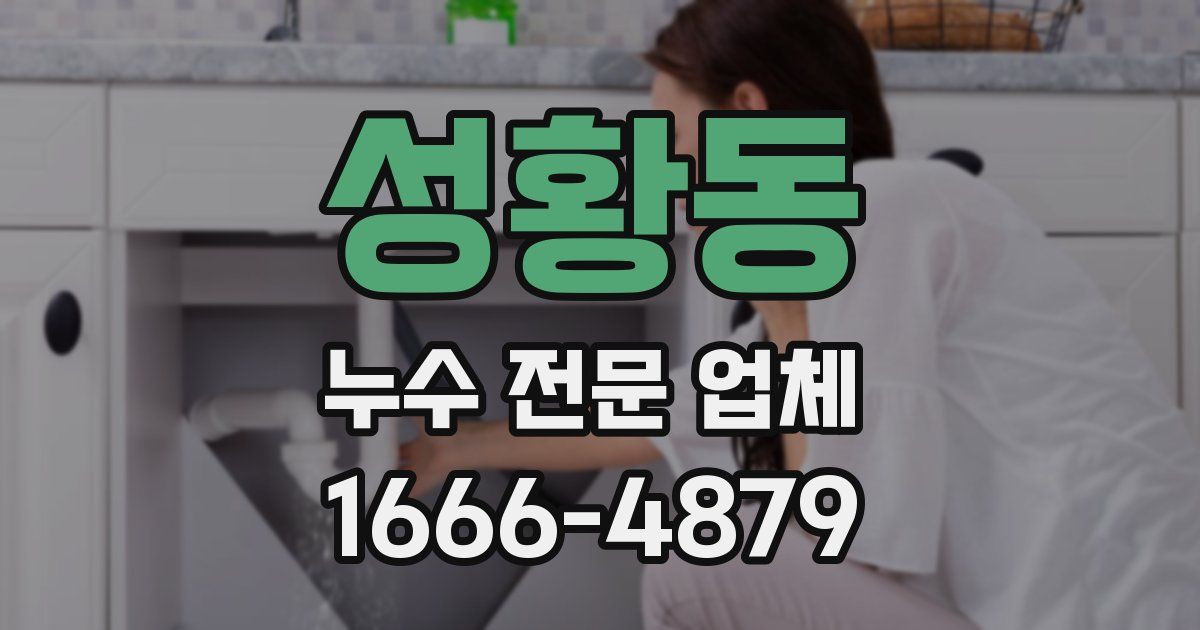 성황동 누수 전문 업체