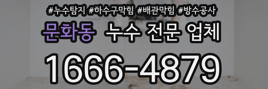 문화동 누수 전문 업체