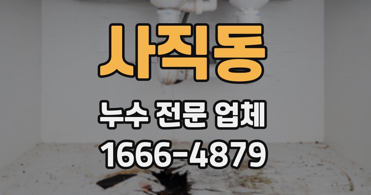 사직동 누수 전문 업체