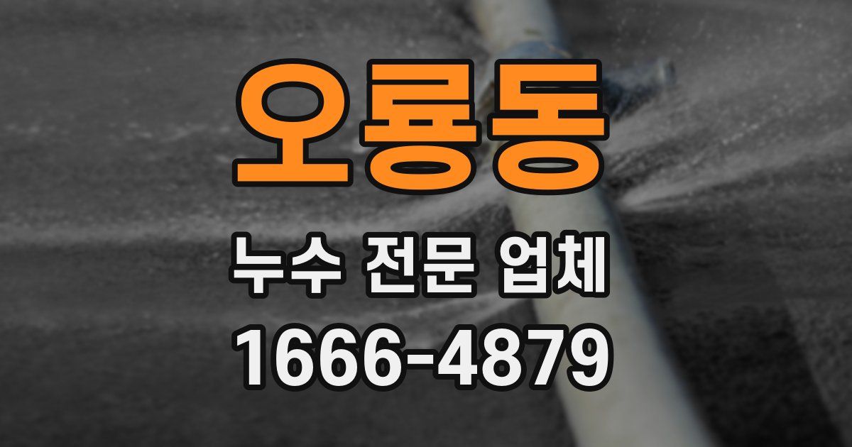 오룡동 누수 전문 업체