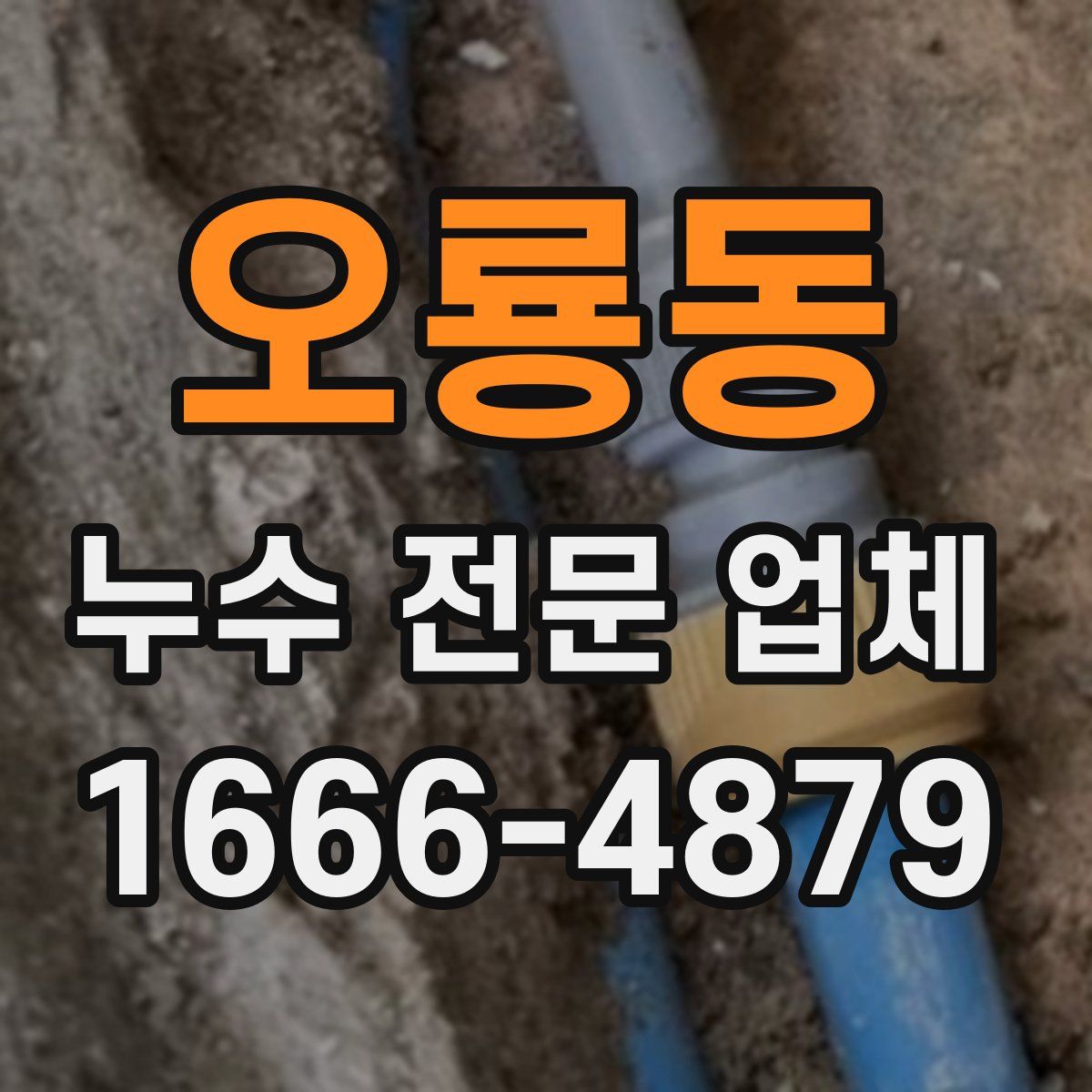 오룡동 누수 전문 업체