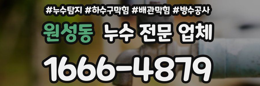 원성동 누수 전문 업체