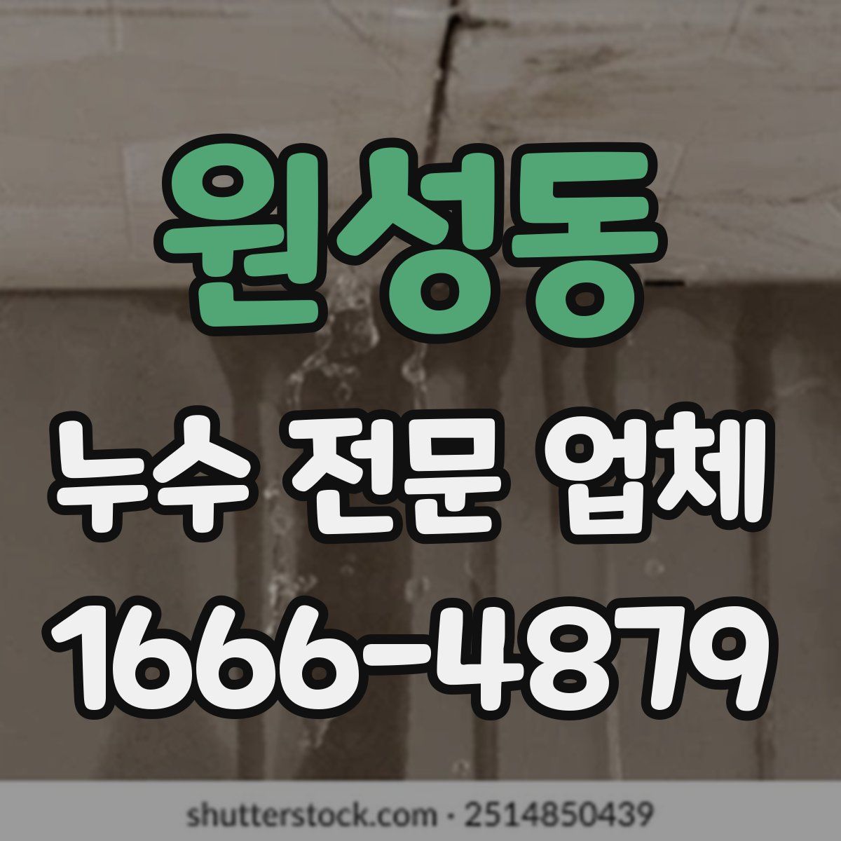원성동 누수 전문 업체