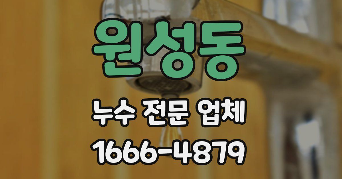 원성동 누수 전문 업체