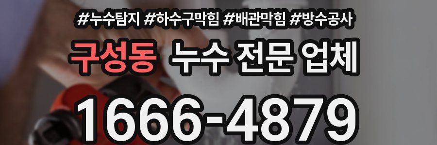 구성동 누수 전문 업체