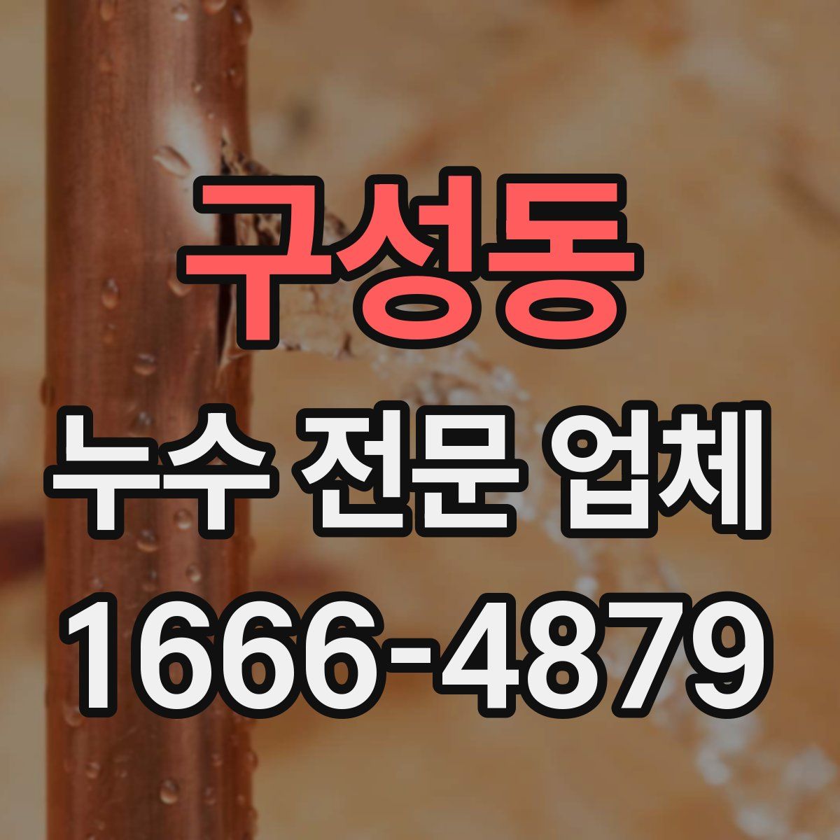 구성동 누수 전문 업체