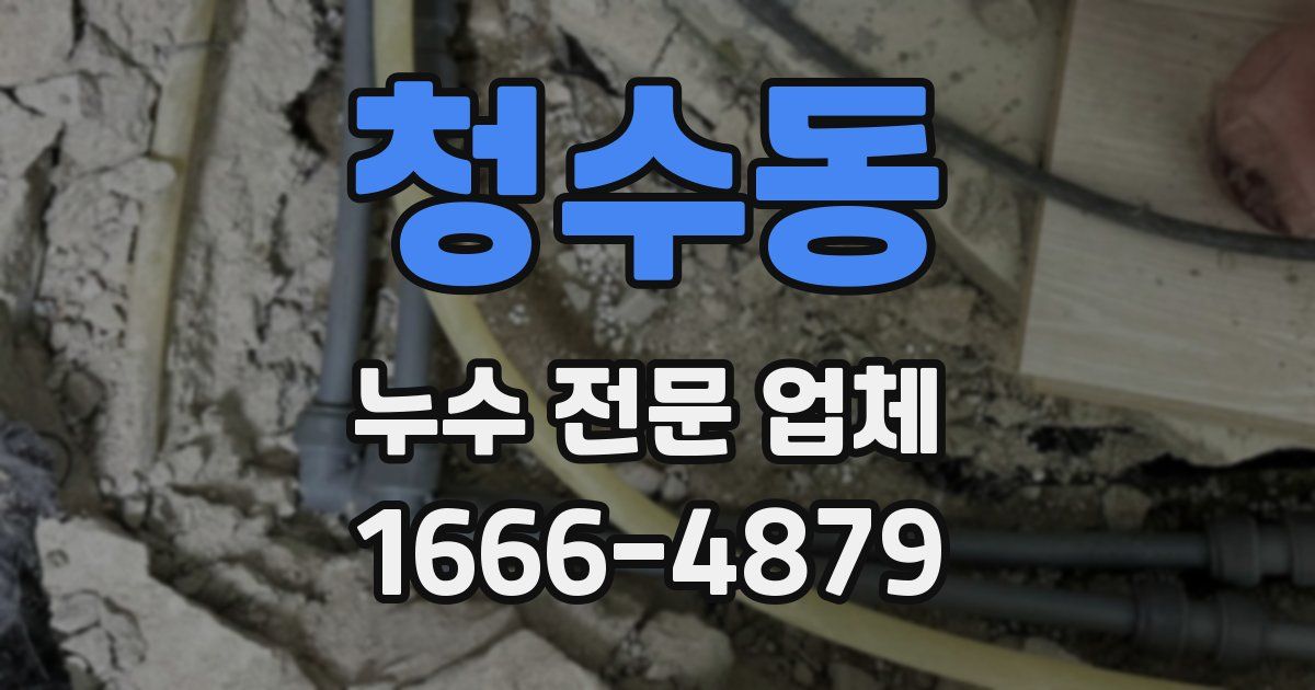 청수동 누수 전문 업체