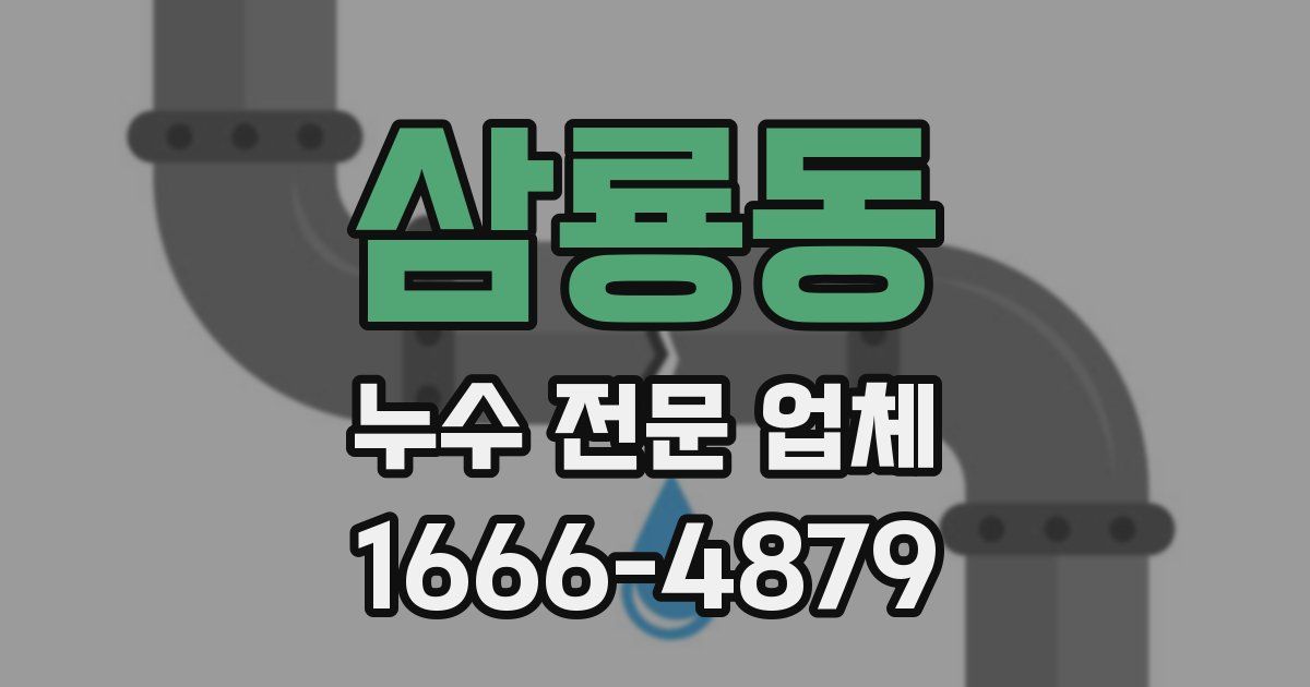 삼룡동 누수 전문 업체