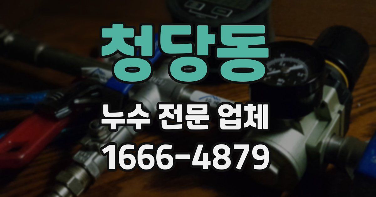 청당동 누수 전문 업체