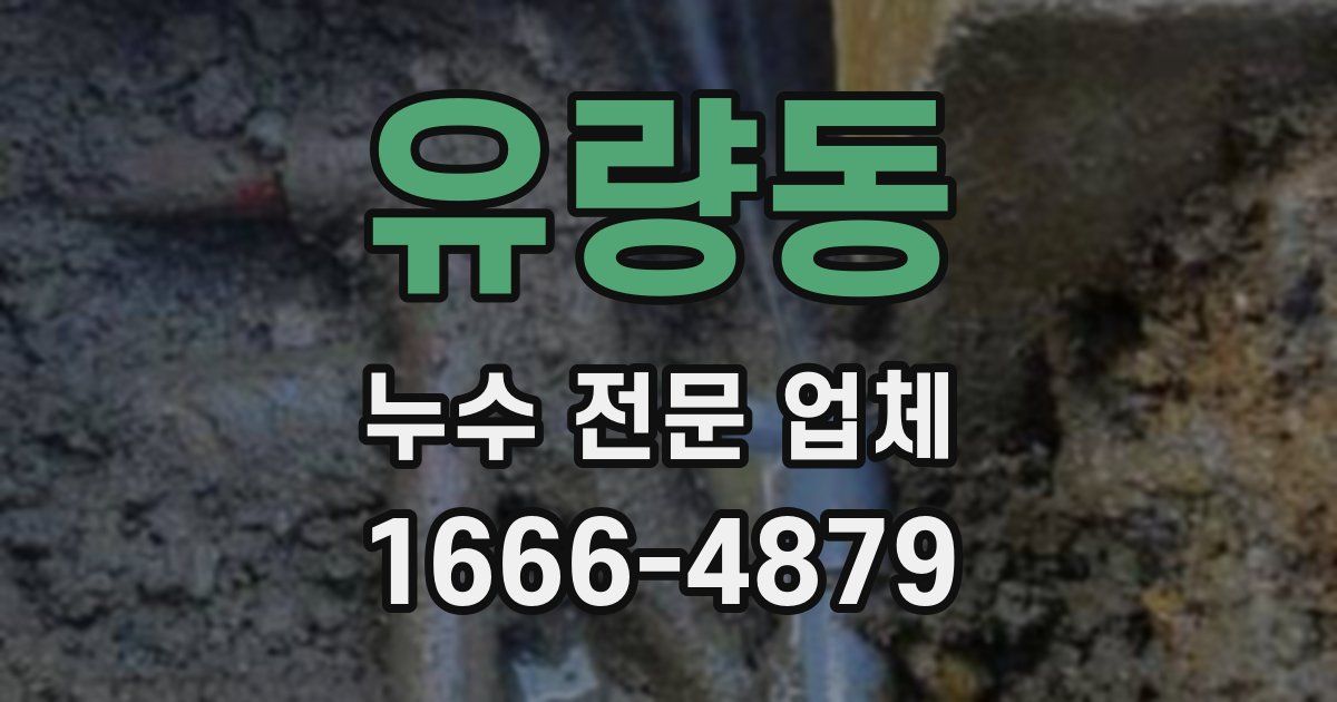 유량동 누수 전문 업체
