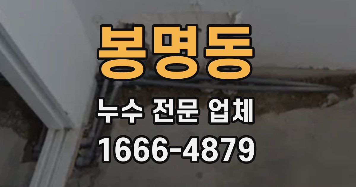봉명동 누수 전문 업체