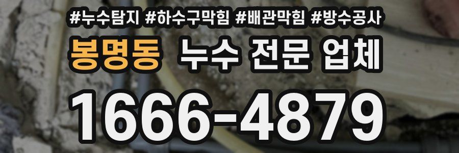 봉명동 누수 전문 업체